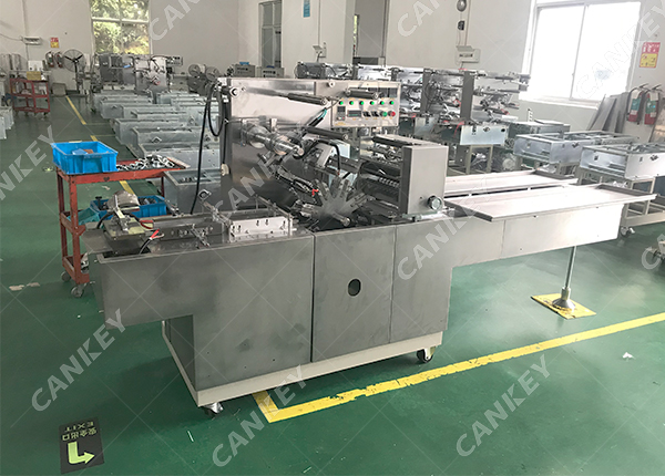 Wrapping machine cost